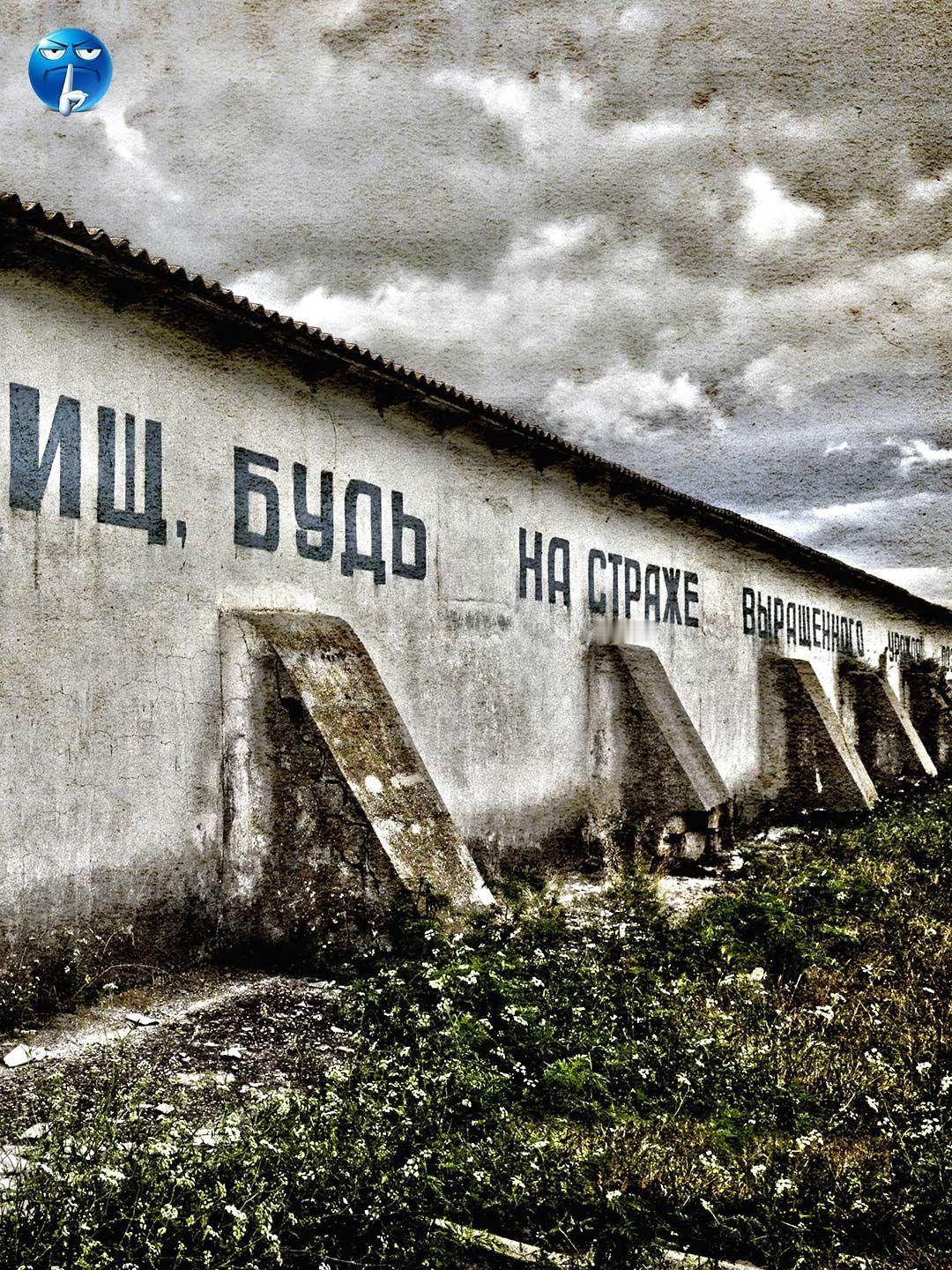 苏联一位说了实话的女司机。苏联时代，一位电车女司机下班回家，路过一辆陷入泥地的卡