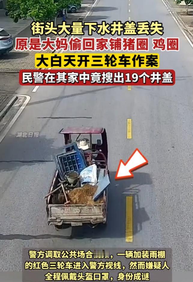 "井盖变地板？大妈5次狂偷19个市政井盖，给鸡鸭打造'豪华别墅'！"见过偷钱的