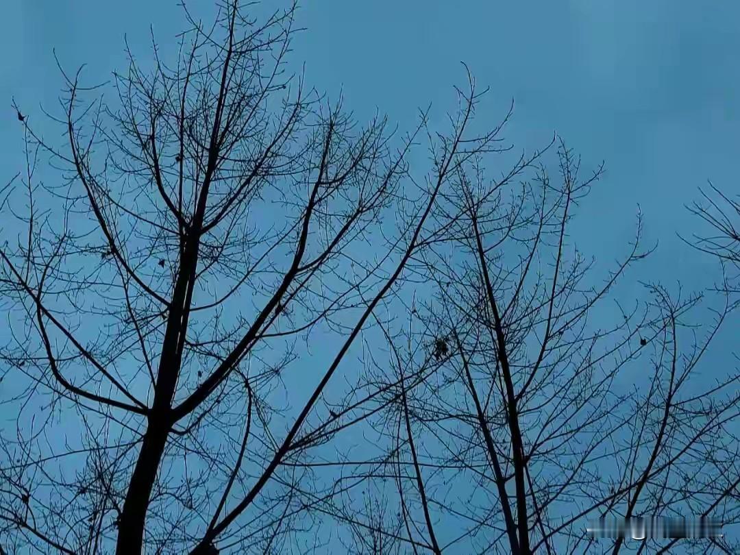 很多乱象的根源：藏在人事任用里的环节里！不少单位出现各类矛盾