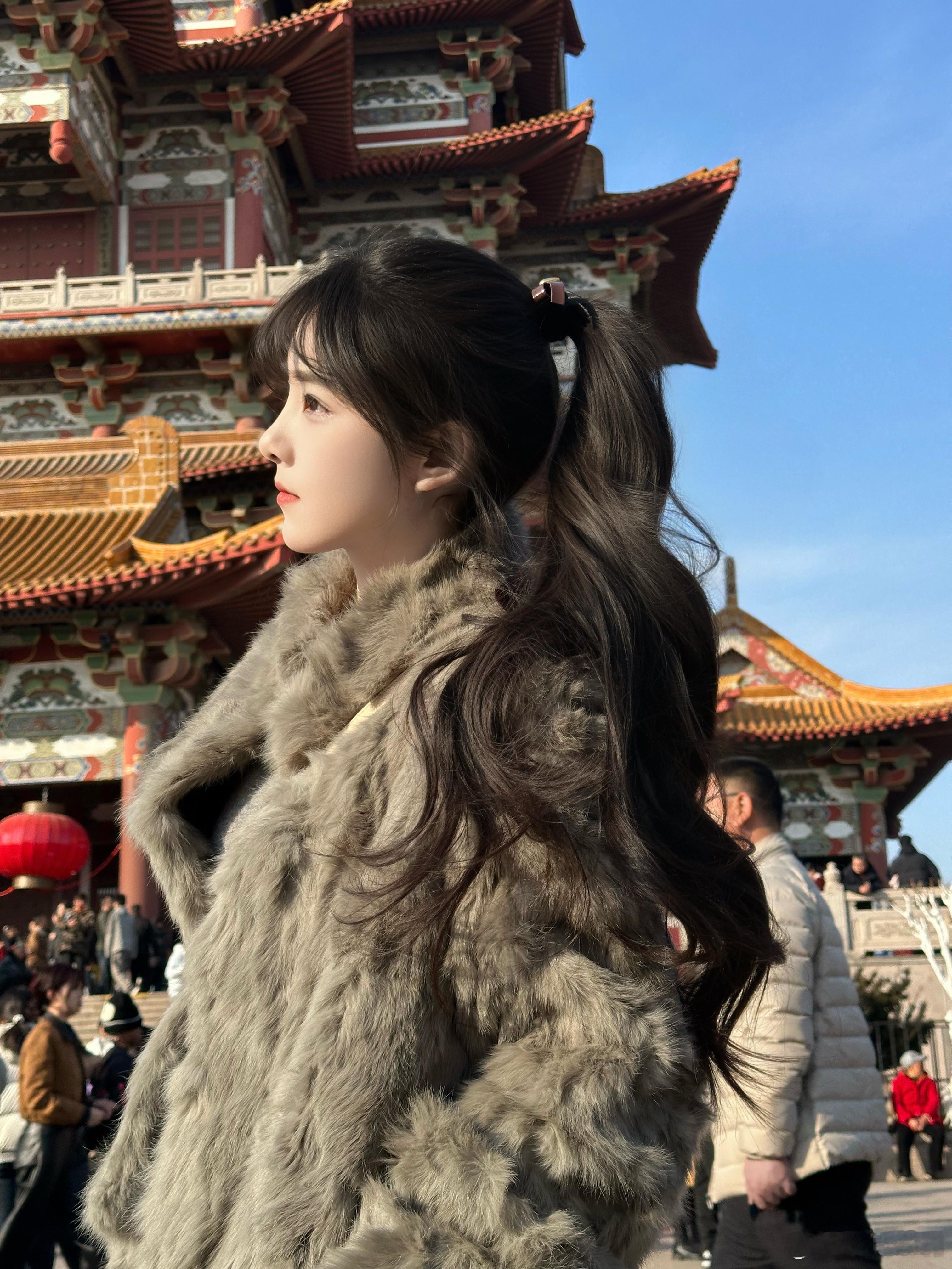 在阳光下往返于春天