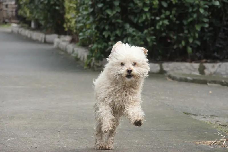 《肖申克的救赎》确实是神作。1994年上映，没特效、没爱情戏、没女主，却在30年