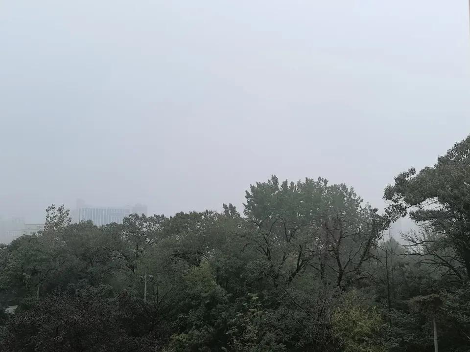 六十年预见一回的一个月之久的阴雨朦胧,宝鸡都湿的发霉了。今天十月二十五日,清晨起