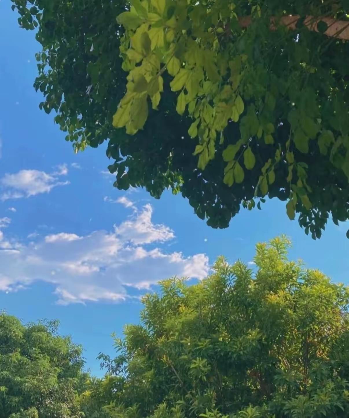 很现实的一段话：“谁想控制你，谁就需要你。谁想拿捏你，谁就离不开你。你期待谁就