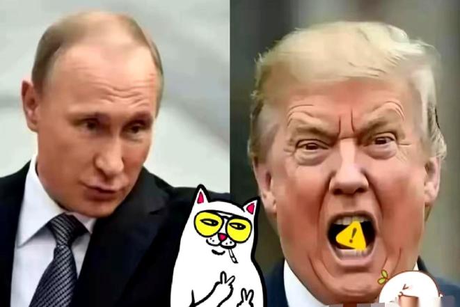 都以为普京要趁着油价飞涨，大捞一笔。结果他直接把油管子的阀门给拧死了。 4