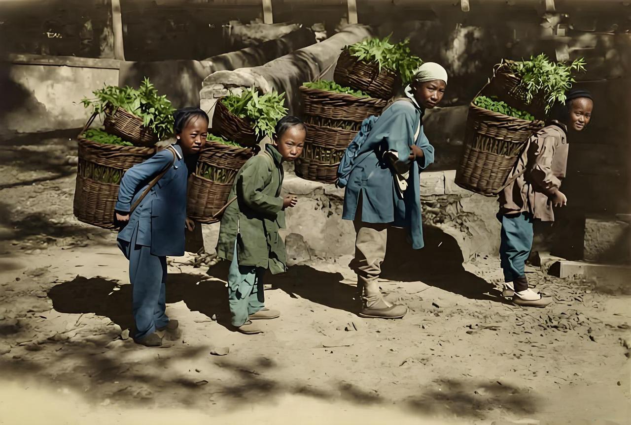 晚清，四个底层儿童，最大的也不过十岁模样，却都背着与身形极不相称的大箩筐，筐里装