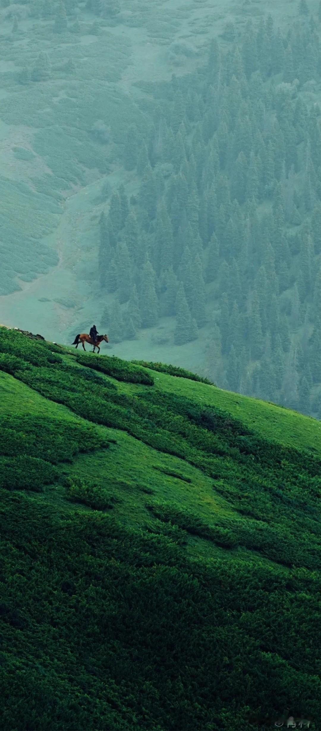 张雪峰离开后的第一个月，两份盖着高级别公章的文件，在舆论场掀起了轩然大波。