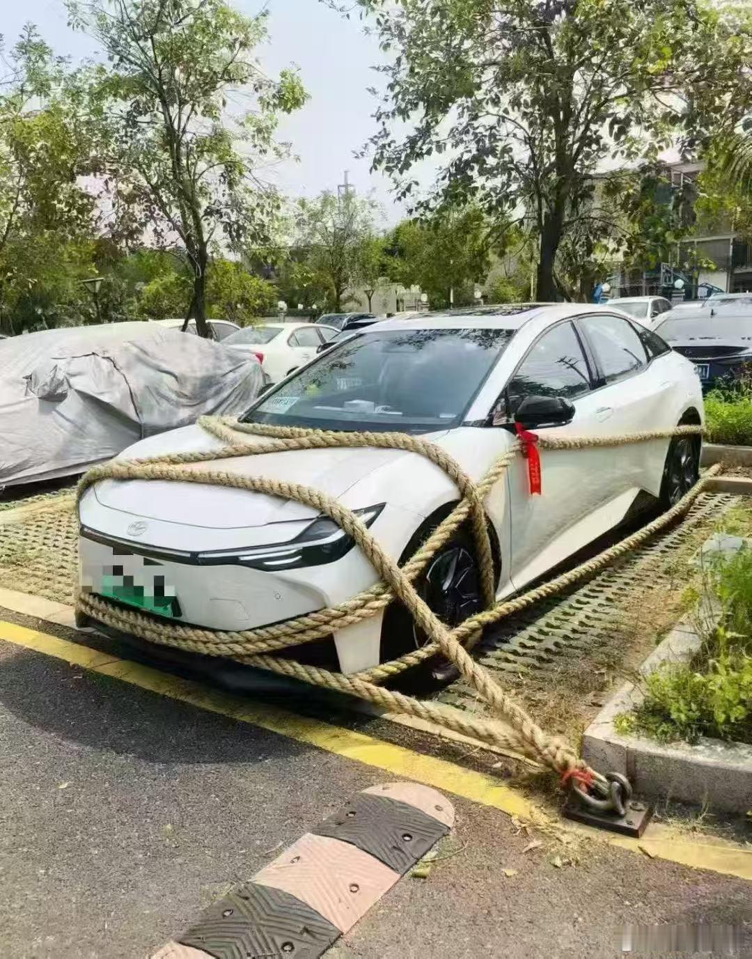 放心吧，车是吹不走的[doge]超强台风桦加沙要来了广东发布紧急动员令​​​