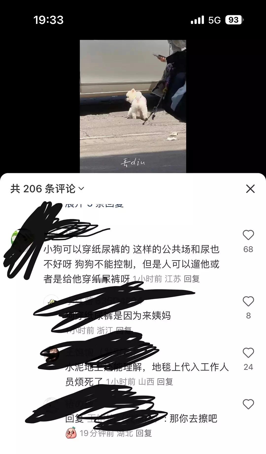 反正我觉得没必要惯着明星的狗况且宠物也不是你们明星的时尚单品蛤​​​