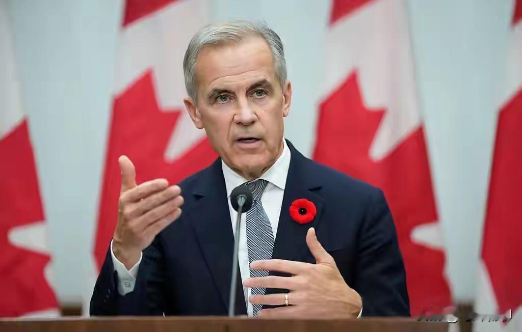 近来常刷到新闻，说加拿大与美国闹僵后转头寻求对华合作，网上便有不少人唱衰美加关系