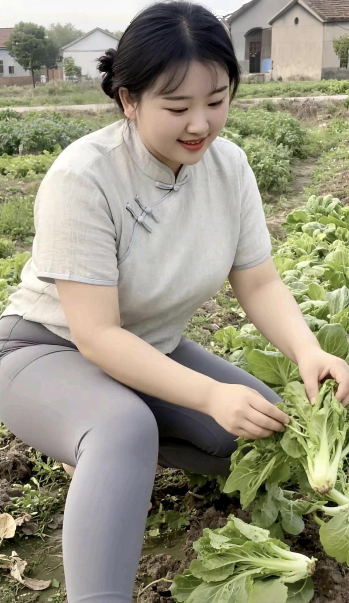 白菜长势不太好，但它毕竟很环保。从根到梢全有机，…………………………请你