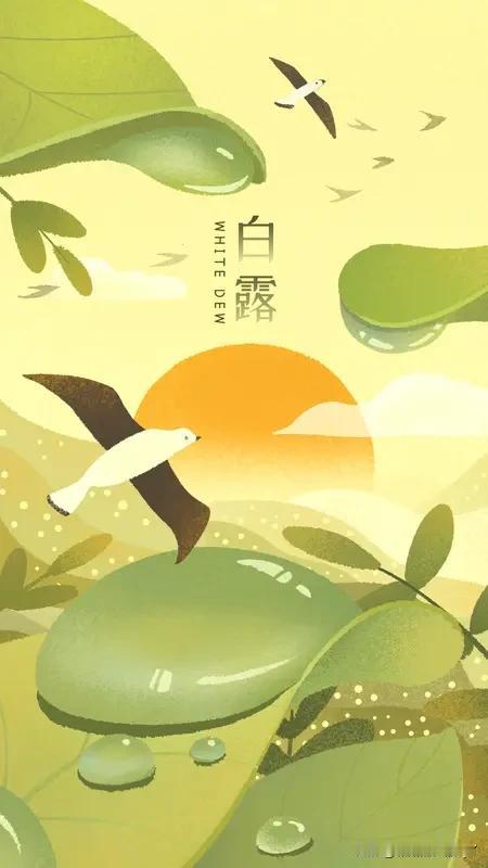今天是七月二十六恰逢白露民间俗语有一、七月白露（白露落在农历七月）七月白露凉