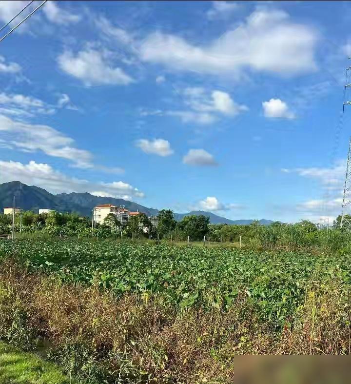 昨天妯娌说给我20万，让我把老家180平方米的宅基地，给儿子盖房子，我这心里就没