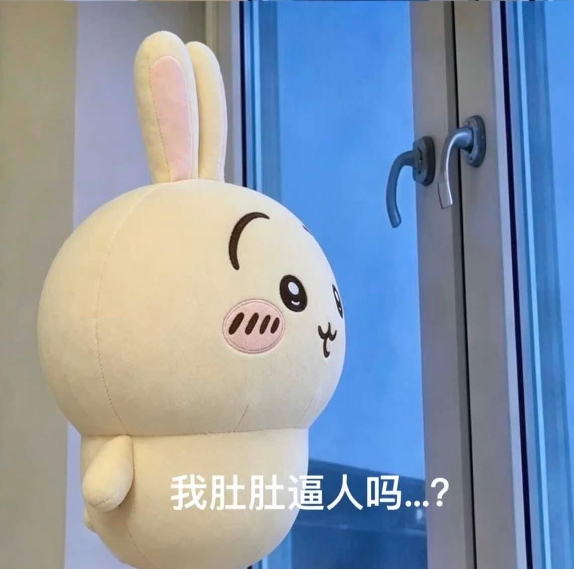 我怎么才看到敏子肚肚这个梗领先表情包届一年