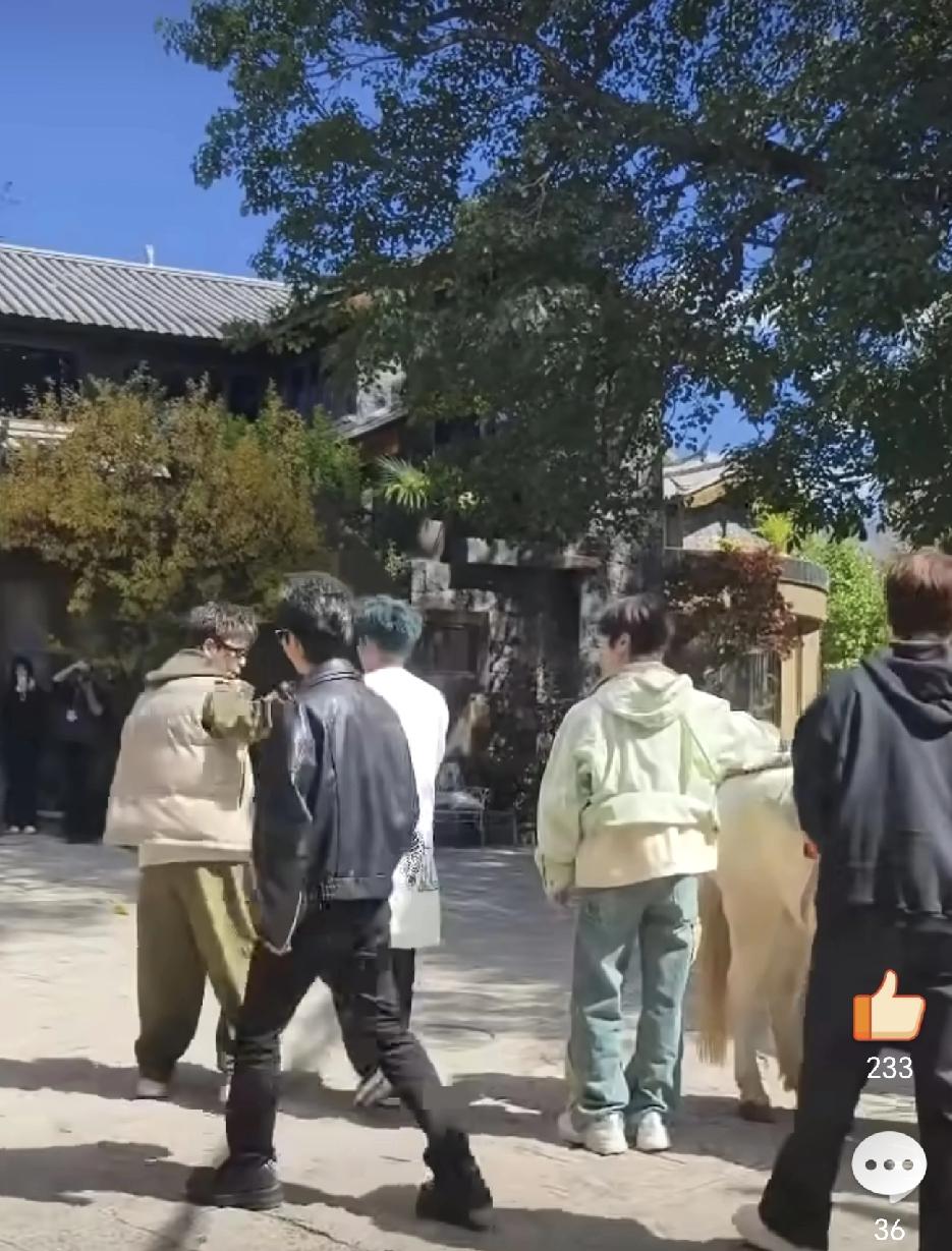 《快乐老友有风季》已经开始录制,再就业兄弟们在丽江街头,这是看到一匹马就是五花马