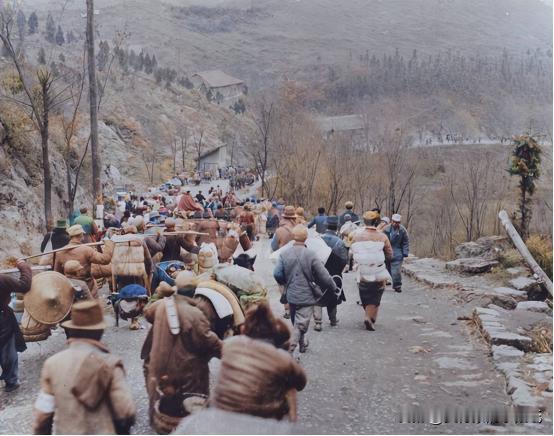 如果战争爆发，躲进山里到底能不能活下来呢？这么说吧，跑进山里的人有七八成的机会能