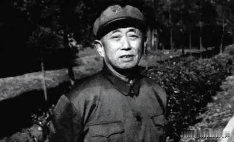 1979年，开国名将求助徐向前，元帅罕见动怒：不准踢皮球！1979年，柳荫