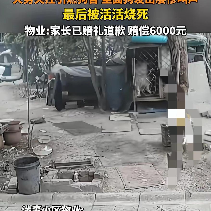 6000块钱，真的能抹平一条生命在烈火里的惨叫吗？两