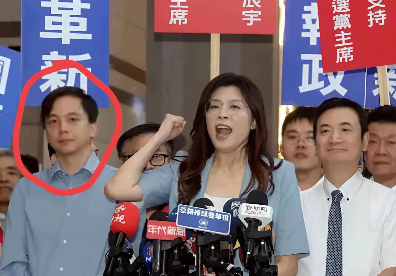还是牛煦庭说得对！国民党就是要谋定而后动。显然，国民党已经看清了岛内的政治局