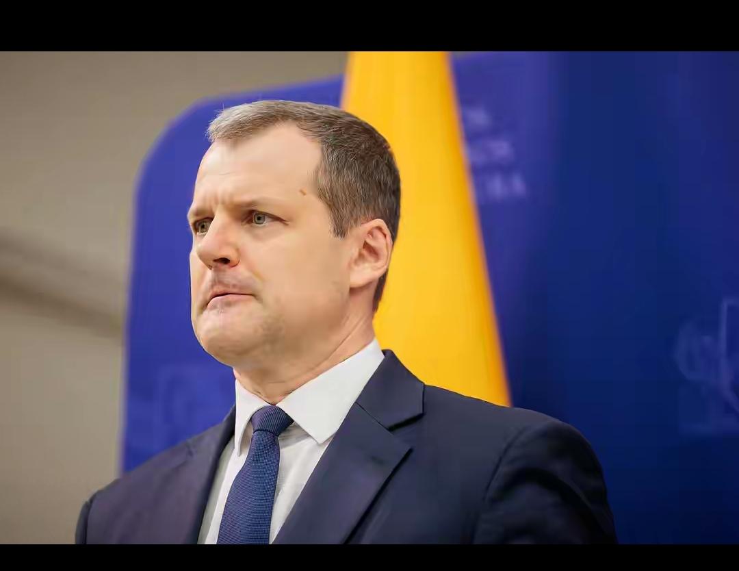 立陶宛喊着“给中国机会”求和好，这迷之自信真让人看不懂！明明是自己违背一个