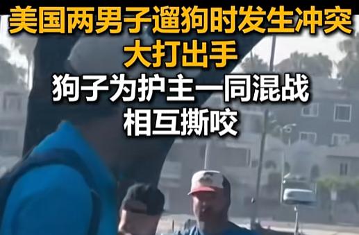 “这狗太棒了！”美国街头俩遛狗大哥吵着吵着就抡上了拳头，谁成想旁边两条大狗比主人