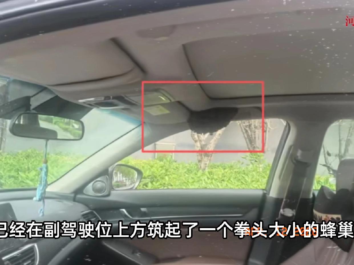近日浙江杭州，一男子停车在路边，有事离开了15分钟，回来后却发现自己的副驾车窗上