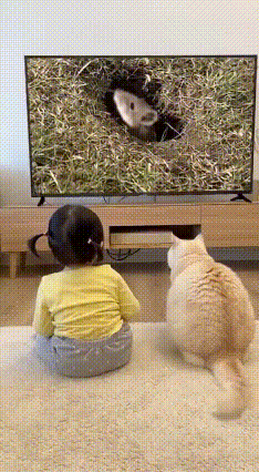 刻在骨子里的专业！没办法，见了就要上，这猫🐱太敬业了！这下好了，喜提