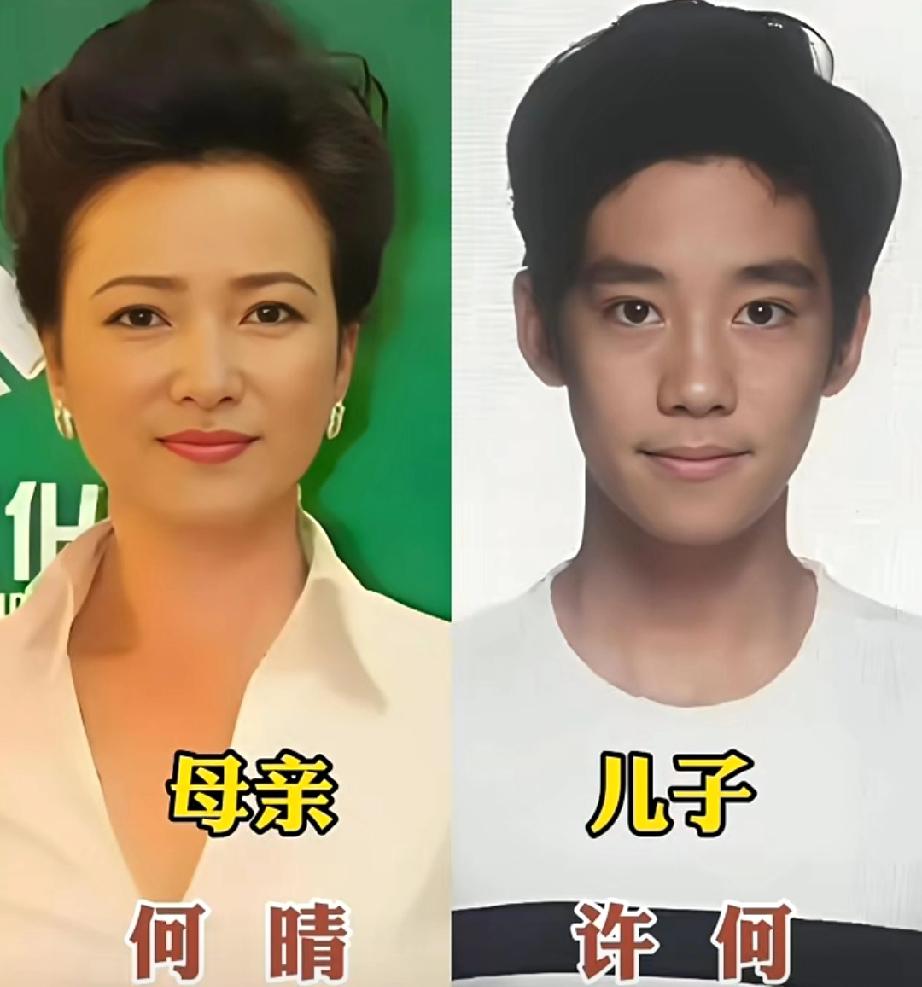 娱乐圈明星母子同框，哪对母子最像？