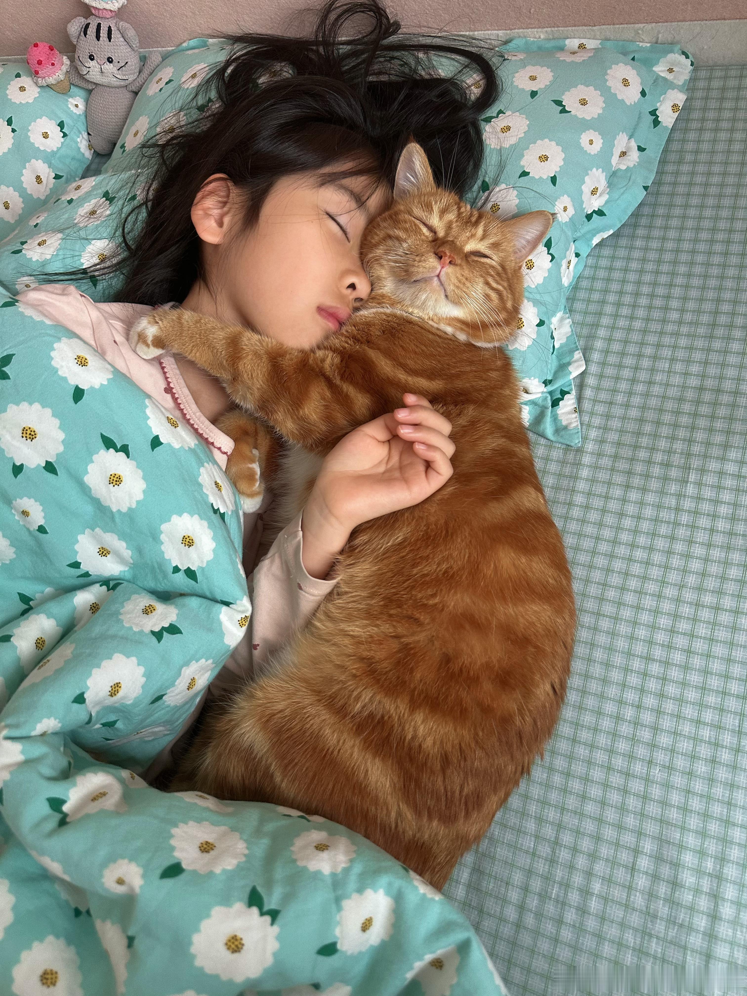 小猫能陪你睡到昏天黑地猫