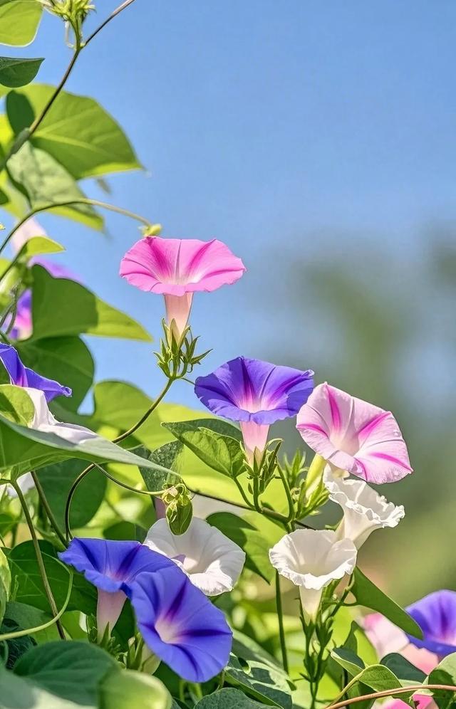 除了生理问题成年人的世界里，总有一些心照不宣的仪式。它们不见于任何典籍，却精准地