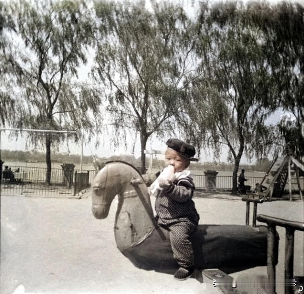 1965年和1981年，北京北海公园的木马1965年，我2岁在北海公园游乐园骑