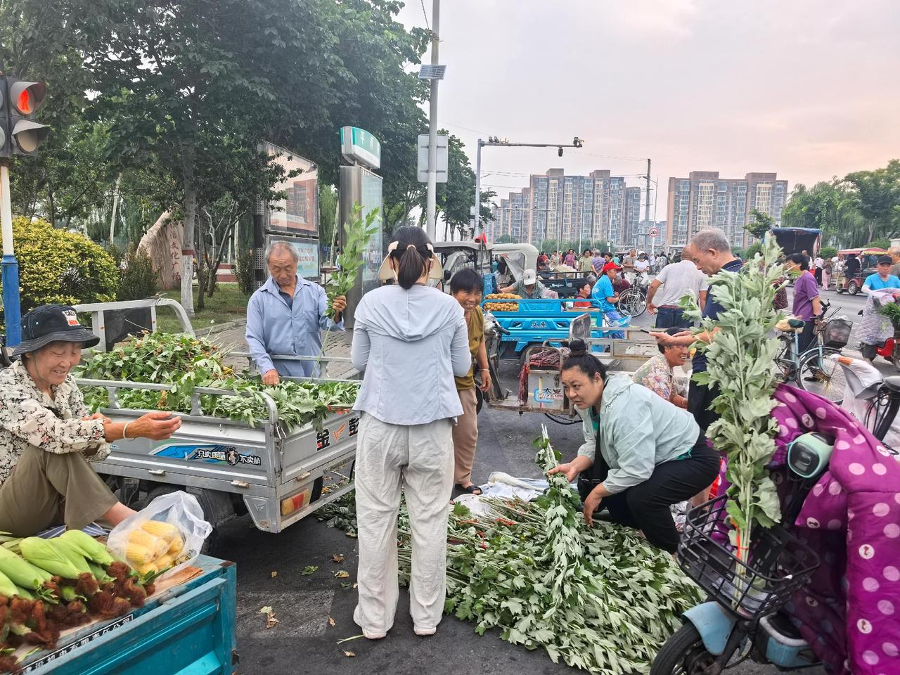 端午节与艾草香豫北地区的老习俗，端午这天大家都爱去早市买上几枝艾草，捆得整整齐