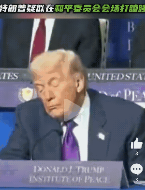 睡着了？[鼓掌][鼓掌][鼓掌][鼓掌][鼓掌][捂脸哭]