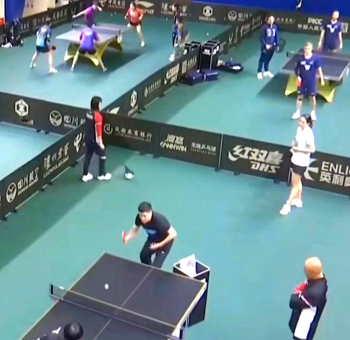 笑到我脚趾抠出凡尔赛宫！邱贻可偷偷模仿勒布伦发球想让莎莎适应，结果模仿错了还