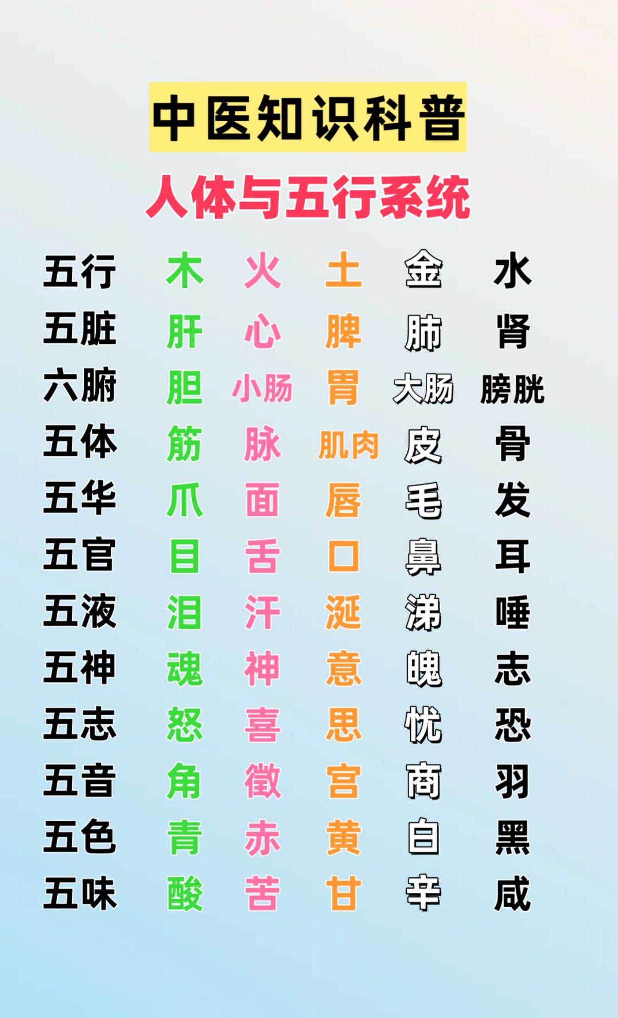 中医知识科普 人体与五行系统。