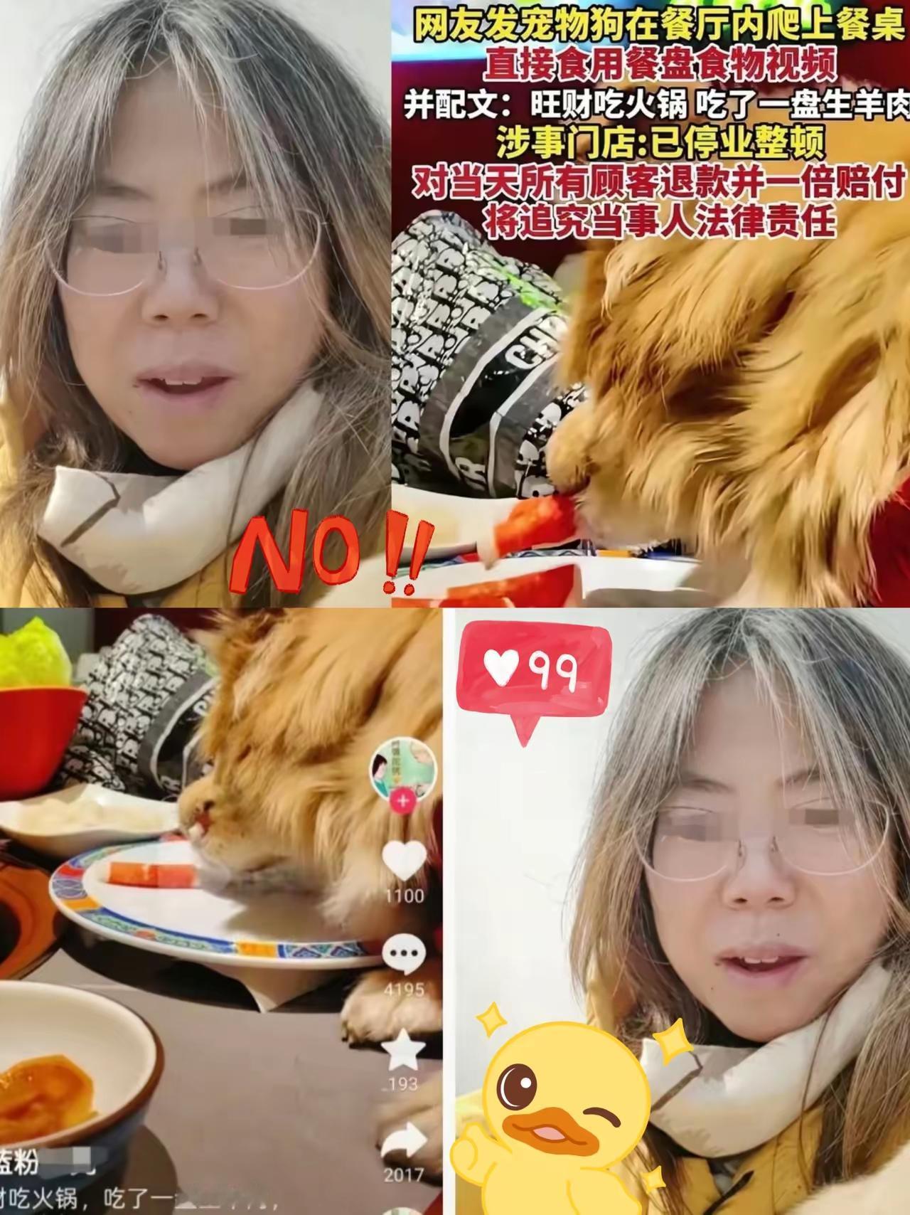 北京女子带狗舔火锅店餐盘还炫耀，她让狗爬上餐桌啃食生羊肉卷、舔舐公共餐盘，还拍视