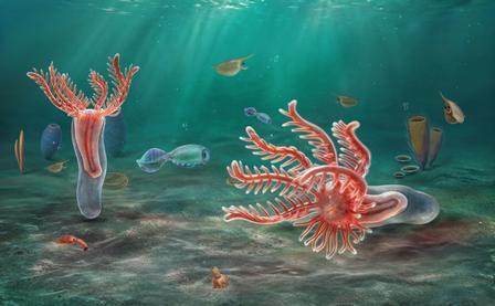 中国团队发现5.18亿年前“玉净虫”，名叫玉净虫的小生物！5.18亿年前化石推