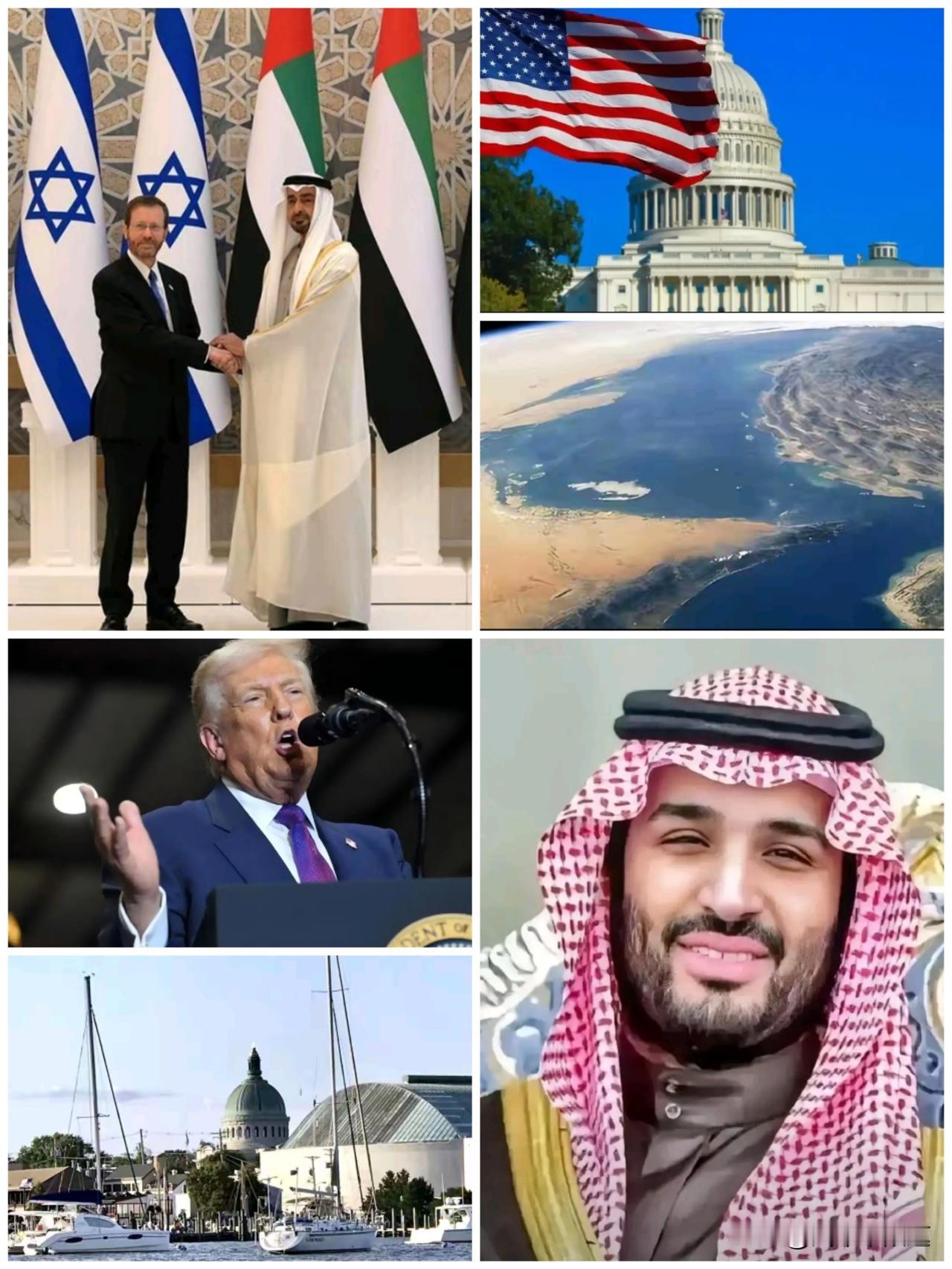 沙漠王爷，这是在反大漂亮吗？还是在亲熊猫？全世界都看到大漂亮的颓势，但内心仍旧接