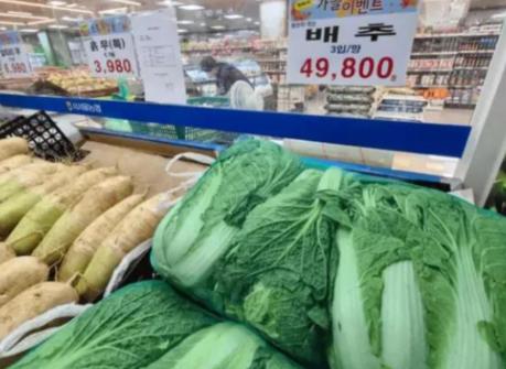 韩国某智库放话:“中国能拒买美国大豆,我们也能拒买中国大白菜!”说这