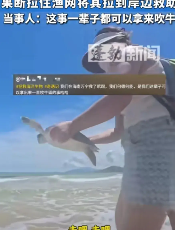 这是一辈子可以拿来吹牛的事！8月26日，海南万宁，游客发现海龟被渔网困住，疑似玳
