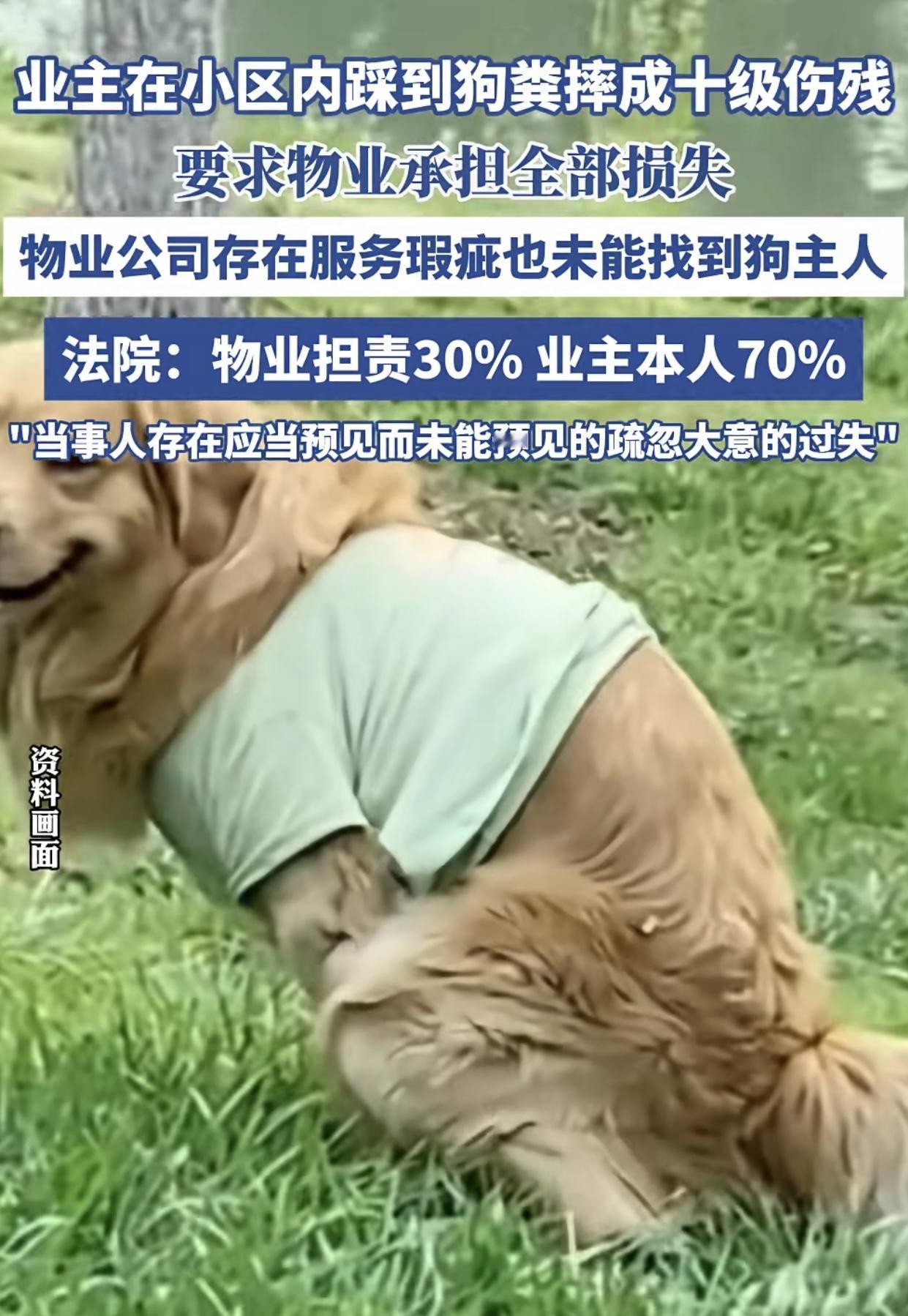 四川江油这个“狗粪致残”案，养狗的不养狗的都沉默了，只有物业欲哭无泪。刘某在自家