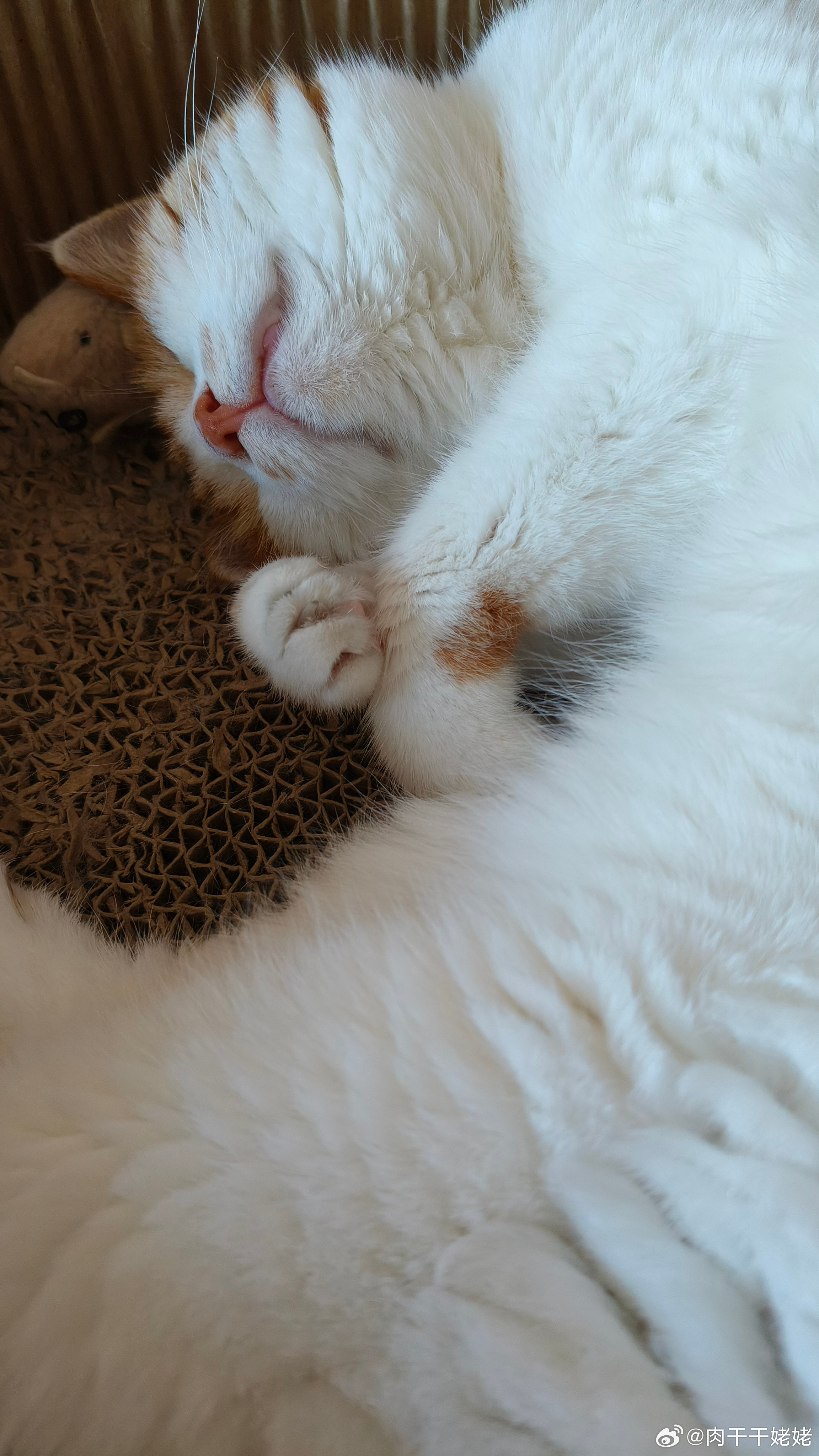 小老太太睡着了像个小宝宝～晚安💤💤