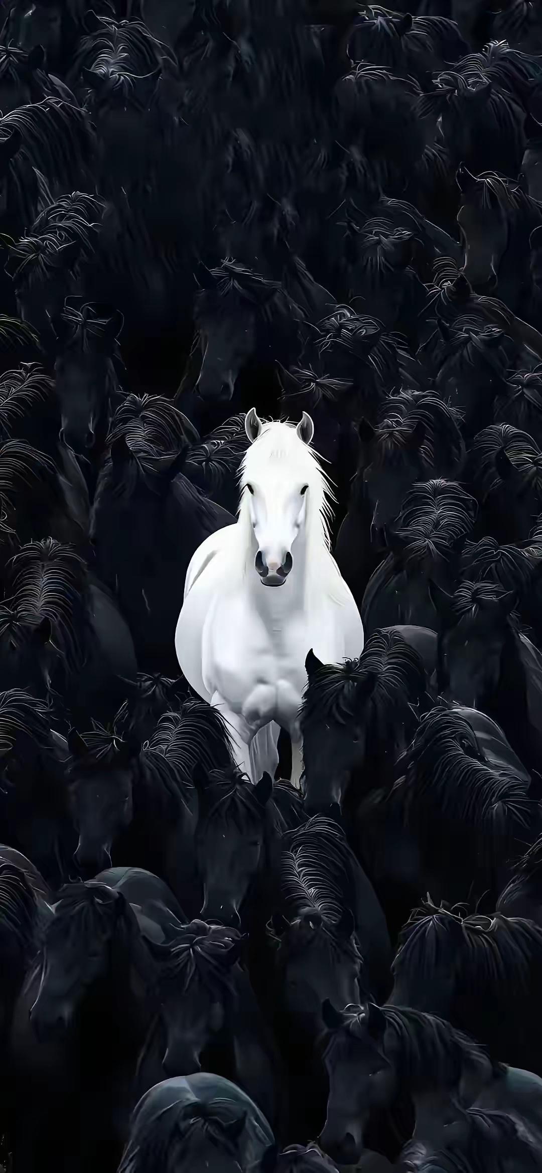 人不能总想冒大险发大财，总这么想，即便一时走运得手，后面也得赔的倾家荡产。所