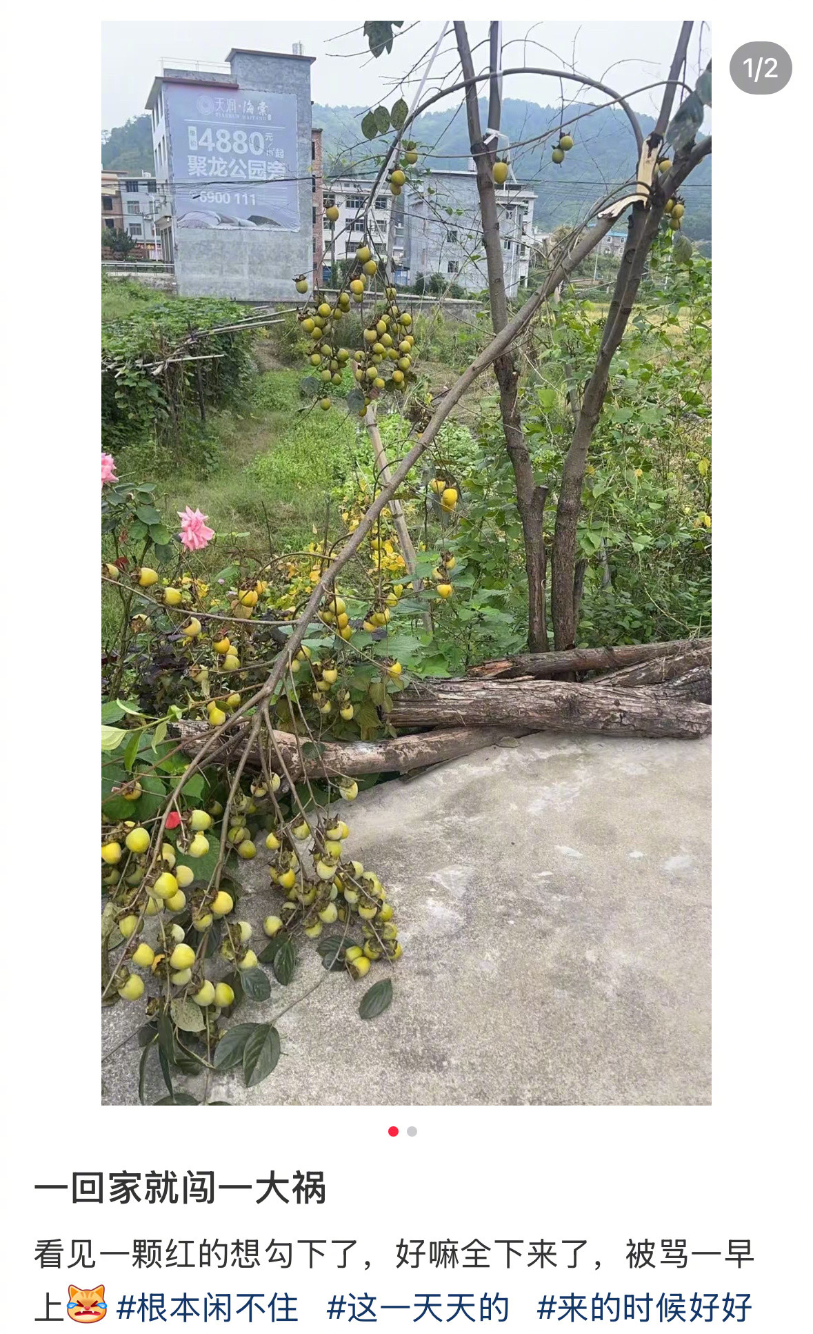 家里最没用的把家里最有用的弄坏啦​​​