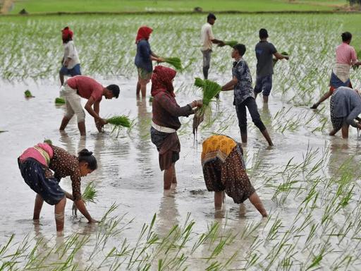 就在几天前，印度总理莫迪通过外交渠道，向外界发出了一个近乎“最后通牒”式的信号，