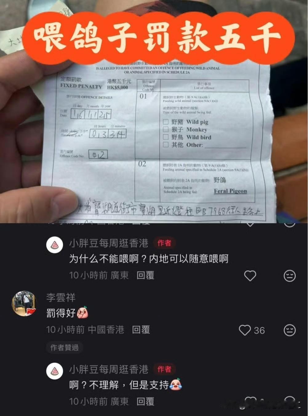 一位内地游客发帖：在香港街头喂野鸽子，结果被罚款5000港币！