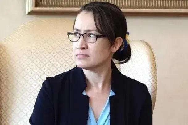 这是台湾地区副领导人萧美琴，她长相阴狠，一副凶巴巴的样子。一个