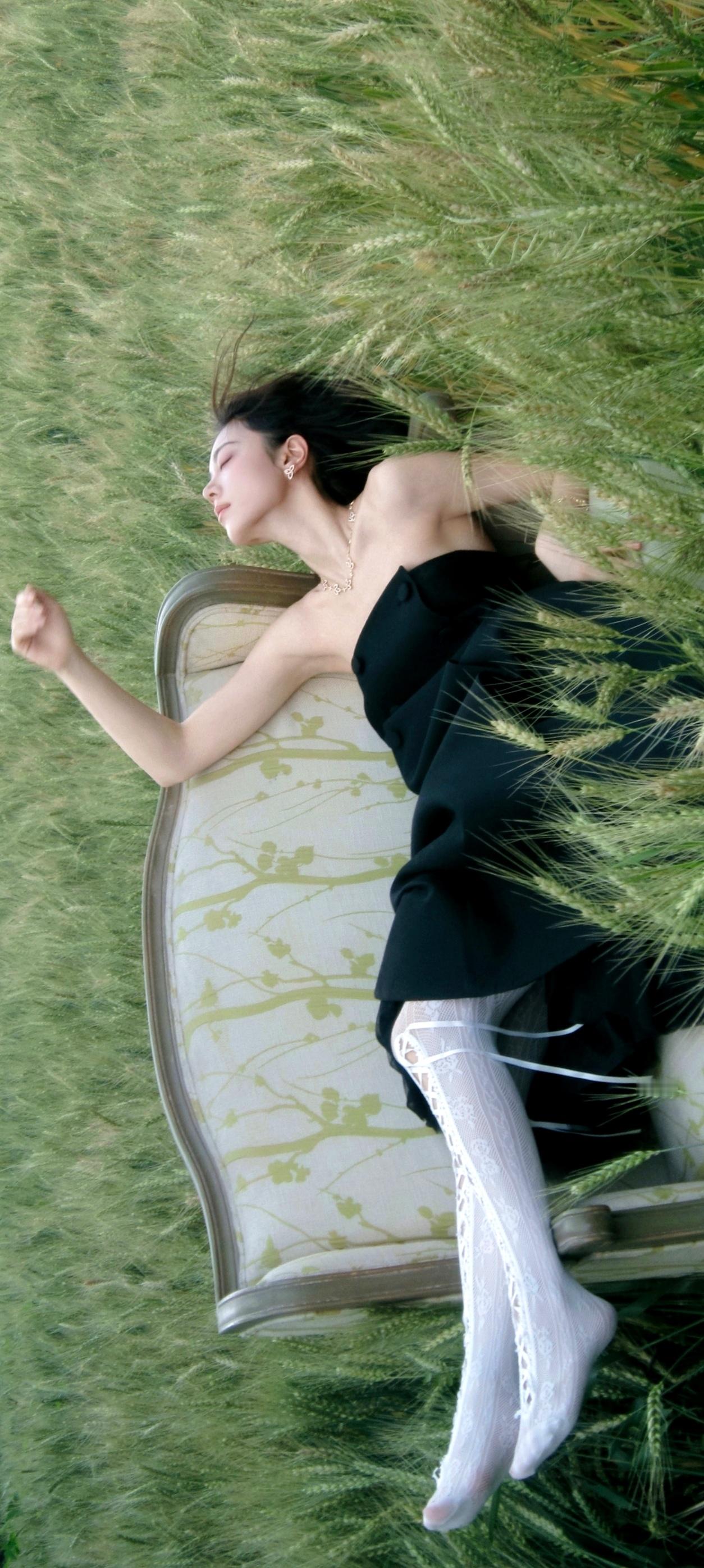 赵今麦麦田里的赵今麦❤️赵今麦ELLE封面