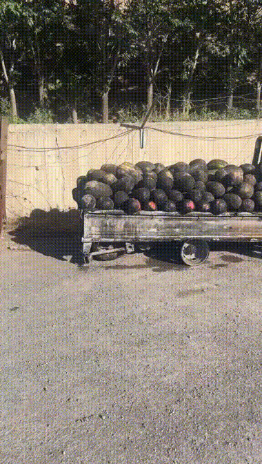 炭烧西瓜，好吃的一匹