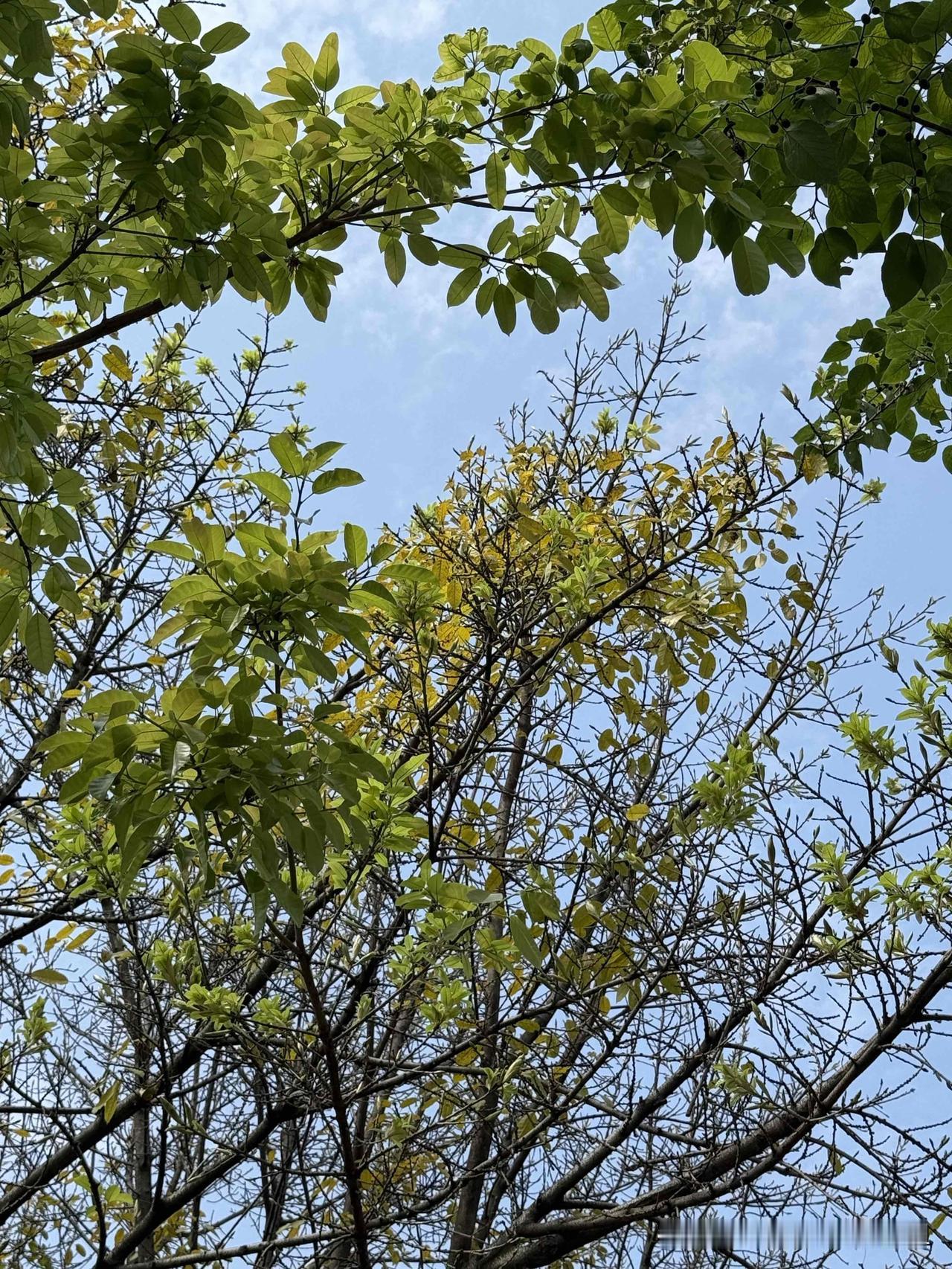 今天被一个三年级小学生的反应震惊到了这个小男孩，学习不做作业，老师留他他就躲，