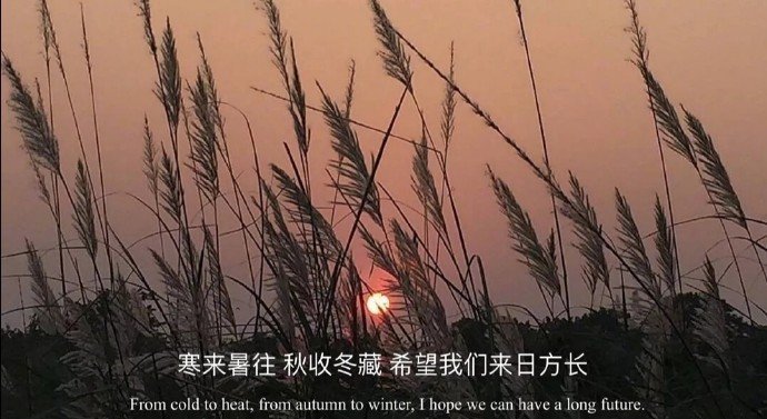 以前我不太相信喜欢会被消耗殆尽但后来我开始明白人和人之间只要有了喜欢就会有期待我